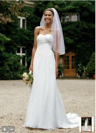 Limited Edition, Limited Price!David's Bridal Chiffon Soft A
